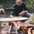 Höfats TRIPLE 120 Bålfad i Corten stål med brændende træstammer, placeret på en hvid overflade. Bålfadet har et moderne design o